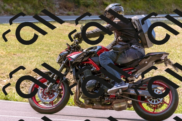 202508101053-_DSC6285_d1_