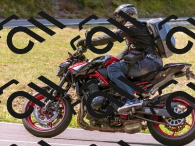 202508101053-_DSC6285_d1_