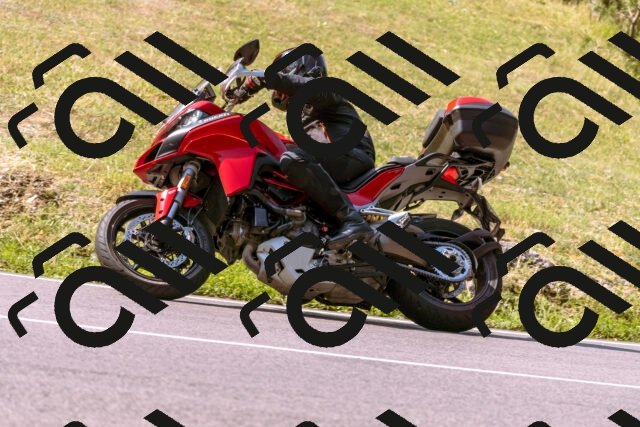 202508101053-_DSC6288_d1_