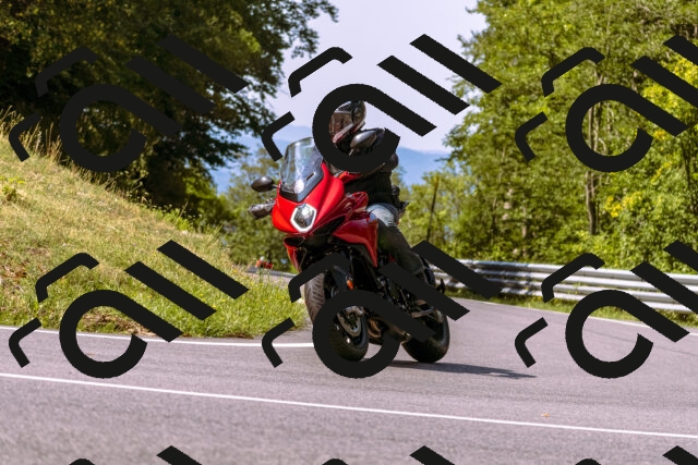 202508101053-_DSC6289_d1_