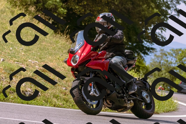 202508101053-_DSC6290_d1_