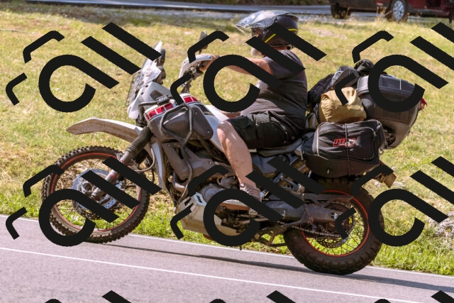 202508101053-_DSC6298_d1_