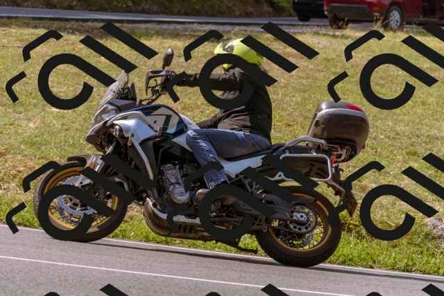 202508101055-_DSC6308_d1_