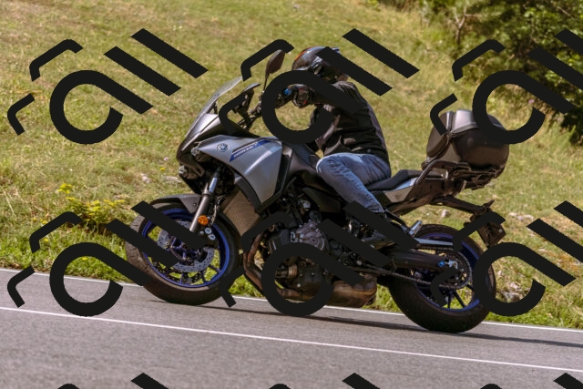 202508101056-_DSC6311_d1_