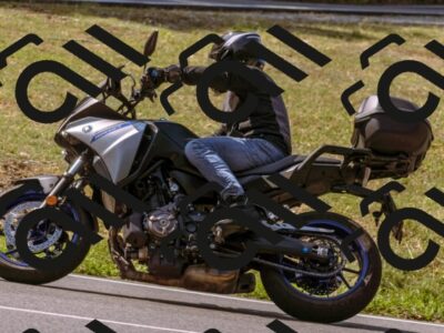 202508101056-_DSC6312_d1_