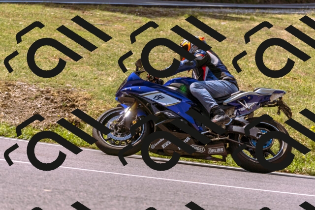 202508101058-_DSC6321_d1_