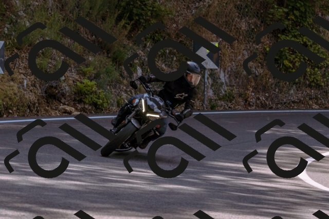 202508101058-_DSC6325_d1_