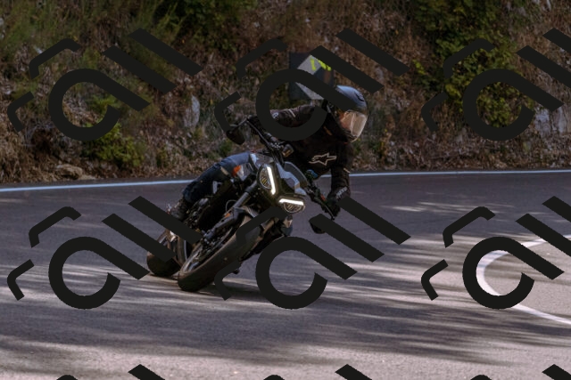 202508101058-_DSC6326_d1_