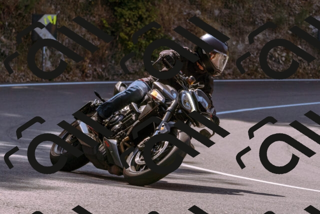 202508101058-_DSC6327_d1_