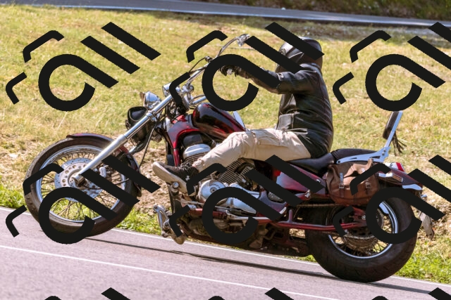 202508101058-_DSC6335_d1_