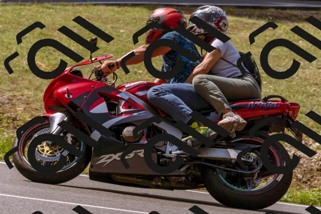 202508101059-_DSC6340_d1_