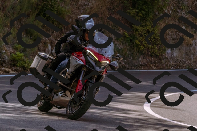 202508101059-_DSC6342_d1_