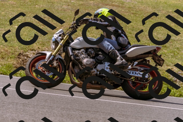 202508101059-_DSC6350_d1_