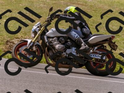 202508101059-_DSC6350_d1_