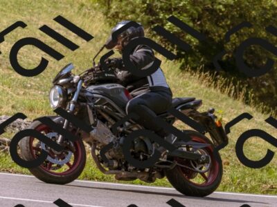 202508101103-_DSC6381_d1_