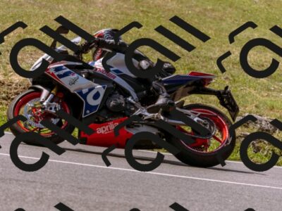 202508101131-_DSC6519_d1_