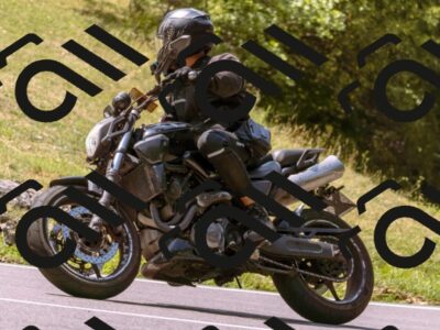 202508101147-_DSC6595_d1_