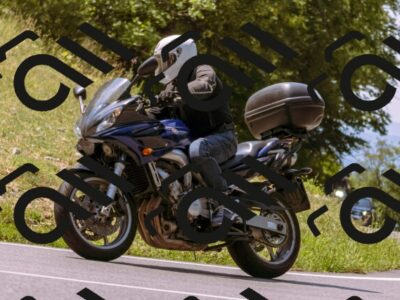 202508101210-_DSC6780_d1_