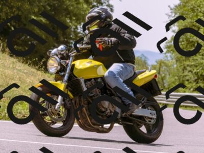 202508101236-_DSC6967_d1_