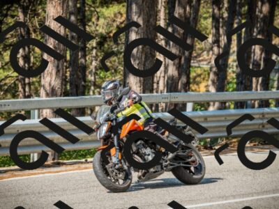 202508101000-DSC05059_c1_