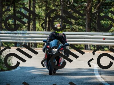 202508101006-DSC05101_c1_