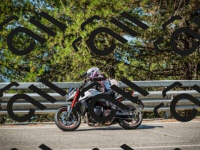 202508101009-DSC05173_c1_