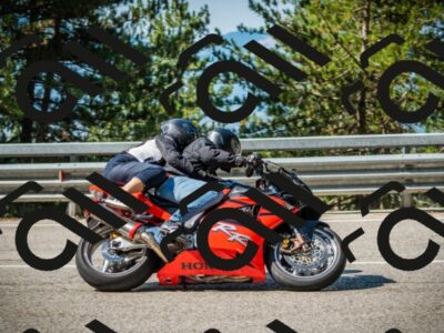 202508101018-DSC05348_c1_