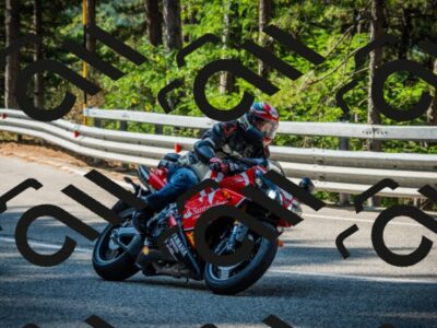 202508101018-DSC05359_c1_