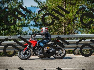 202508101030-DSC05512_c1_