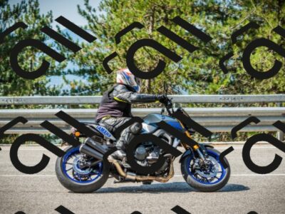 202508101036-DSC05591_c1_