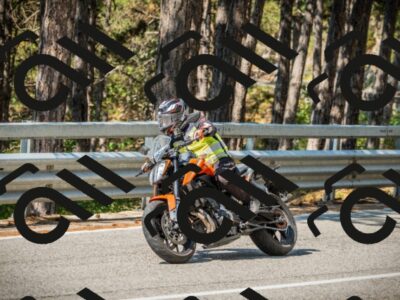 202508101036-DSC05597_c1_