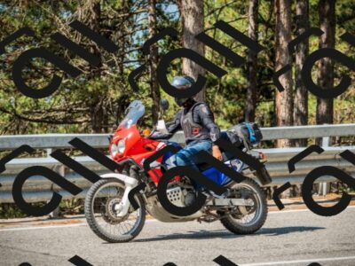 202508101039-DSC05655_c1_