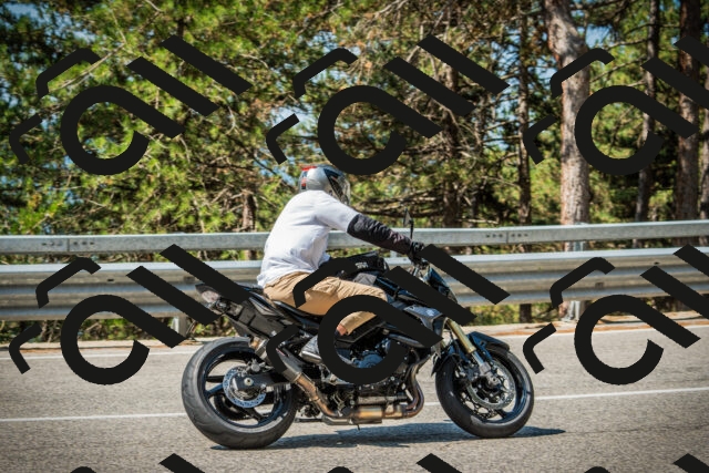 202508101100-DSC05994_c1_