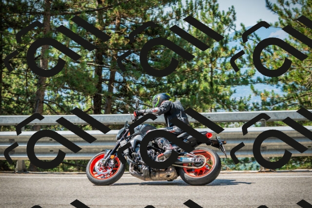 202508101101-DSC06007_c1_