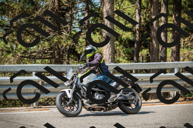 202508101104-DSC06028_c1_