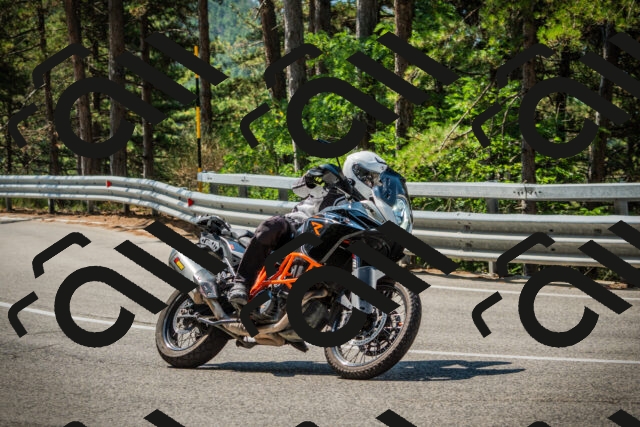 202508101106-DSC06051_c1_