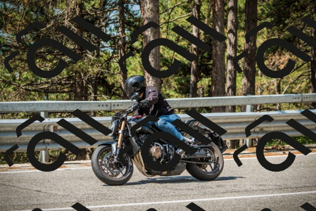 202508101109-DSC06077_c1_