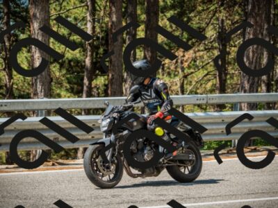 202508101120-DSC06254_c1_