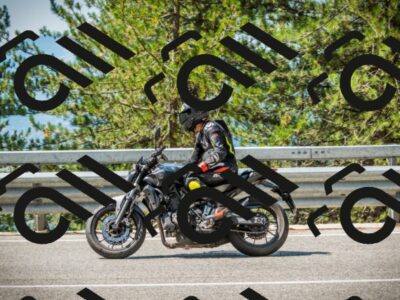 202508101120-DSC06255_c1_