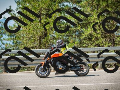 202508101127-DSC06351_c1_