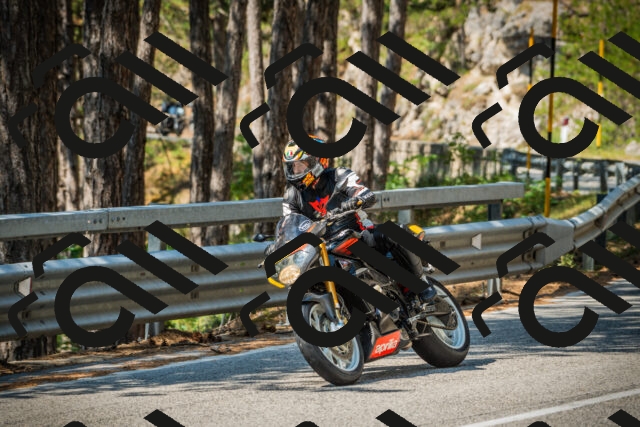 202508101129-DSC06360_c1_