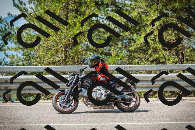 202508101129-DSC06363_c1_