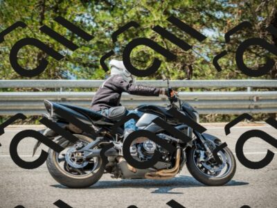 202508101129-DSC06383_c1_