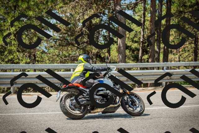 202508101130-DSC06403_c1_