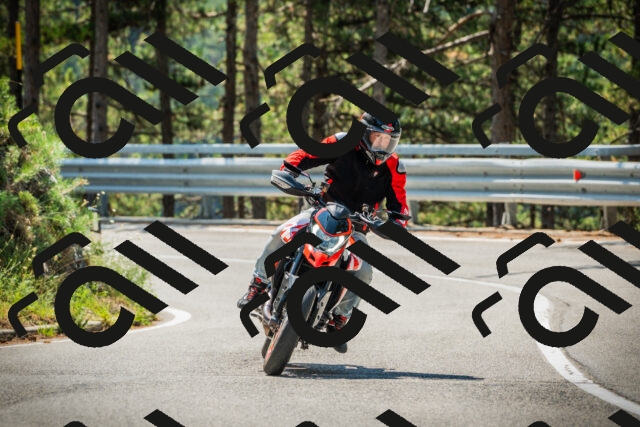 202508101130-DSC06407_c1_