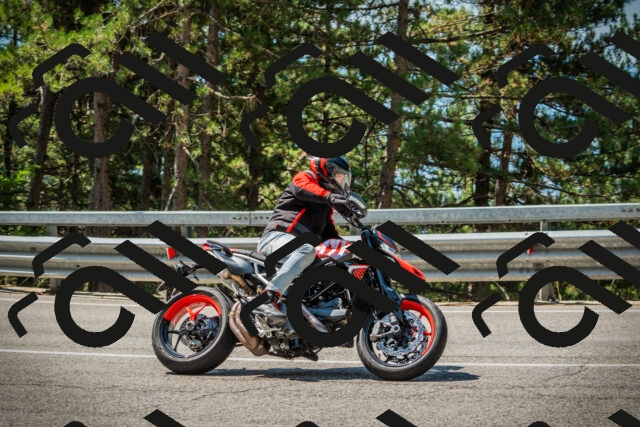 202508101130-DSC06409_c1_