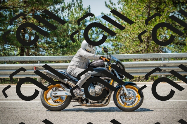 202508101130-DSC06420_c1_