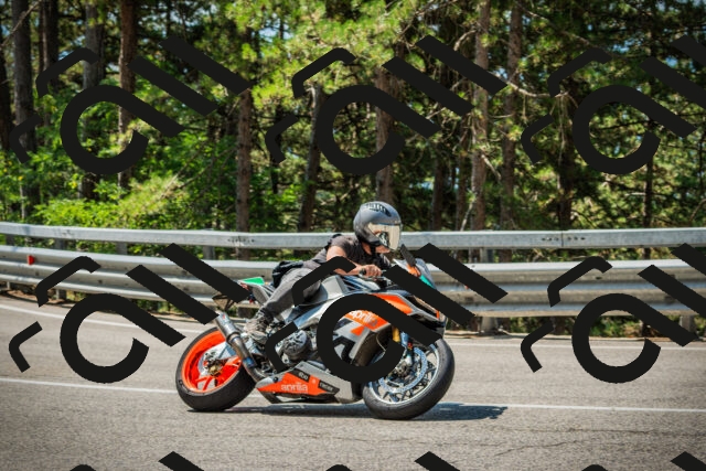 202508101131-DSC06423_c1_