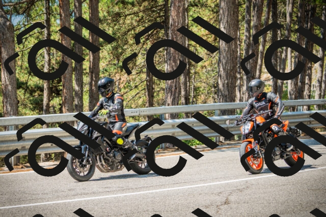 202508101131-DSC06432_c1_