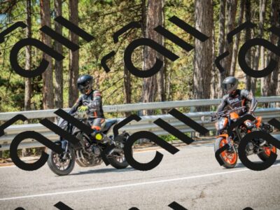 202508101131-DSC06432_c1_